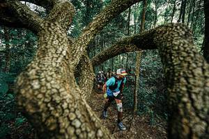 BIB: 
                            <button type="button" onclick="openModal(25393125)" class="btn btn-primary btn-sm float-right btn-popup" data-toggle="modal" data-target=".modal-high-quality">
                        <i class="fas fa-shopping-cart"></i> Add to Cart
                    </button>
                                            <button type="button" onclick="isThisMe(25393125, true)" class="btn btn-success btn-sm float-right btn-popup btn-isme hidden" data-toggle="tooltip" data-placement="bottom" title="นี่คือรูปของคุณใช่ไหม คลิกที่นี่เพื่อเอาเข้าอัลบั้ม">
                        <i class="fas fa-plus"></i> Add to album
                    </button>
                    <button type="button" onclick="isThisMe(25393125, false)" class="btn btn-warning btn-sm float-right btn-popup btn-isnotme hidden">
                        <i class="fas fa-ban"></i> Remove from album
                    </button>